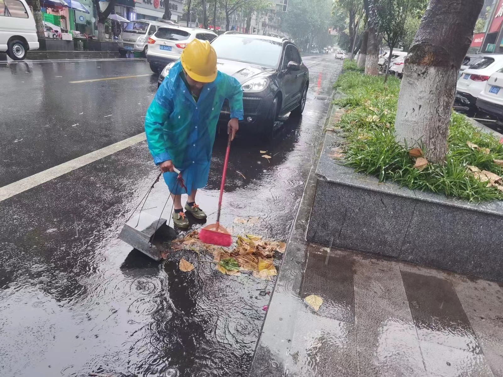 雨天落叶清扫